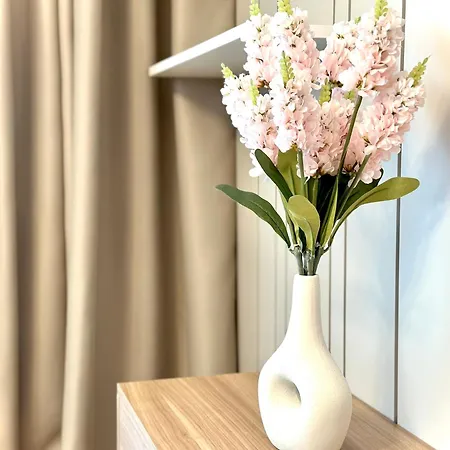 4friendsbrasov K34 Appartamento Braşov