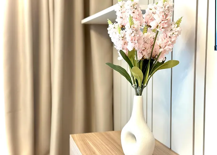 4friendsbrasov K34 布拉索夫